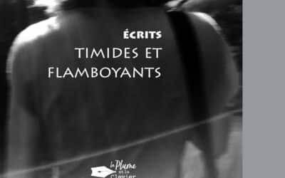 Timides et Flamboyants