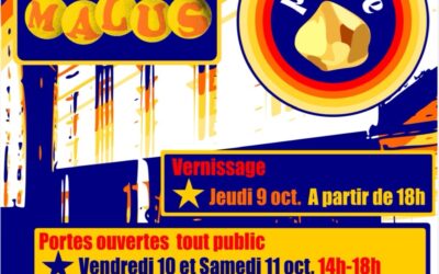 Une ancienne « élève » de la Plume à la Biennale des Arts visuels