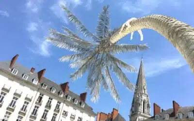 Nantes en été : une invitation à écrire – La Plume et le Clavier